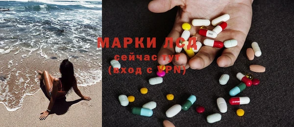 спайс Пересвет
