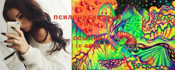 дурь Пестово