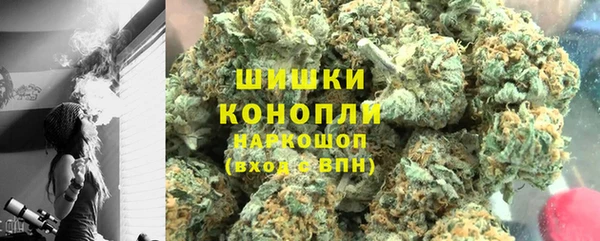 ГАЛЛЮЦИНОГЕННЫЕ ГРИБЫ Переславль-Залесский
