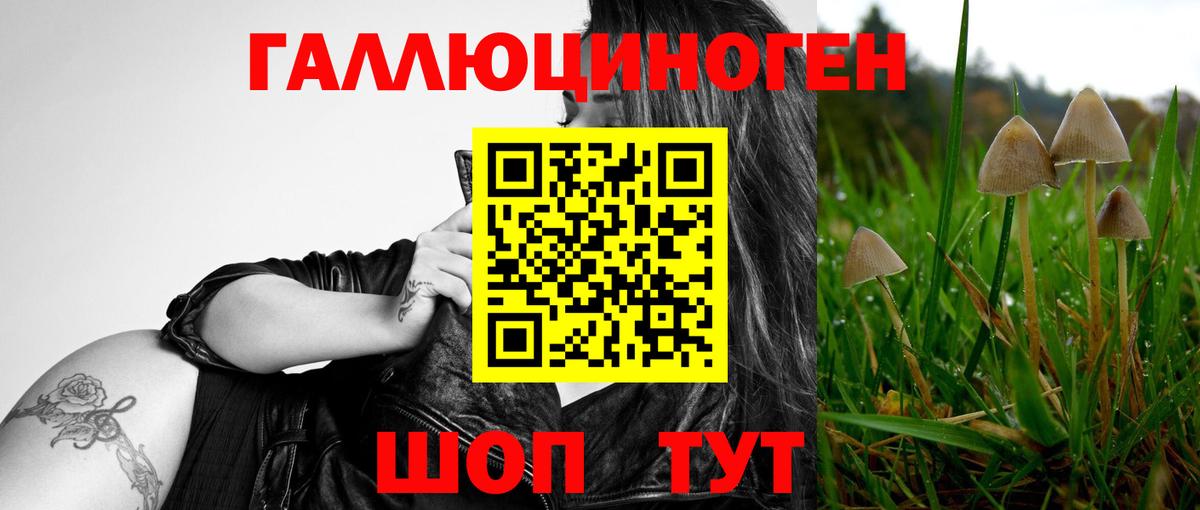 Галлюциногенные грибы мухоморы Кыштым