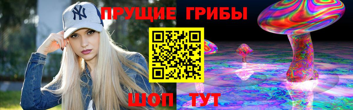 Псилоцибиновые грибы GOLDEN TEACHER  Вход с VPN  Галлюциногенные грибы GOLDEN TEACHER  Кыштым 