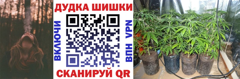 Марихуана план  omg ссылка  Кыштым 